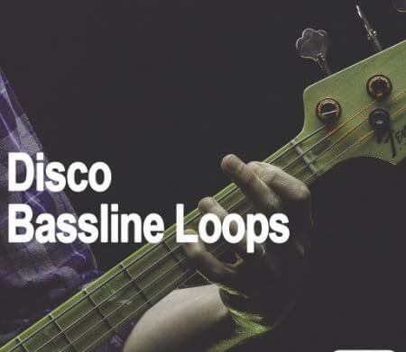 AudioFriend Disco Bassline Loops WAV